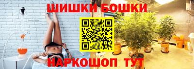 стафф Камышлов