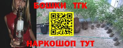 стафф Камышлов
