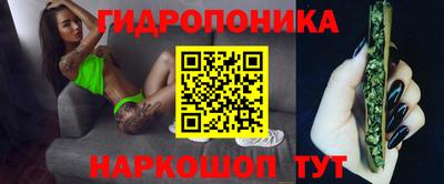 стафф Камышлов
